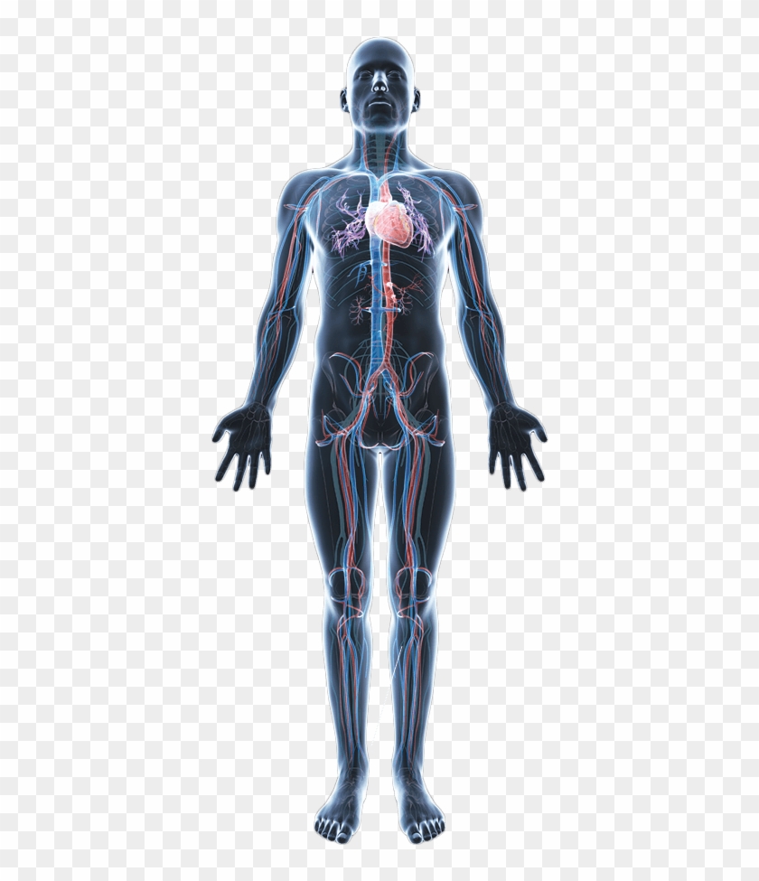 Png Images All Hd Transparent Background - Illustration Clipart #3601590