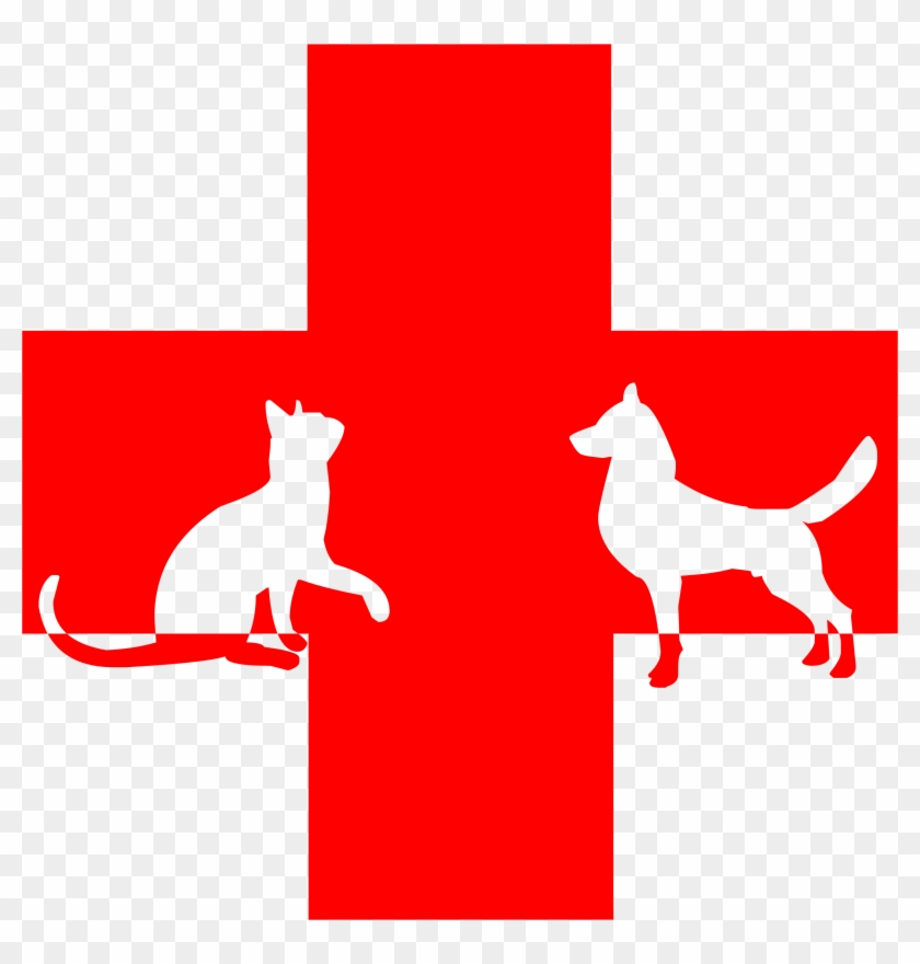Veterinary First Aid Big Image Png Ⓒ - Dog And Cat Red Cross Clipart