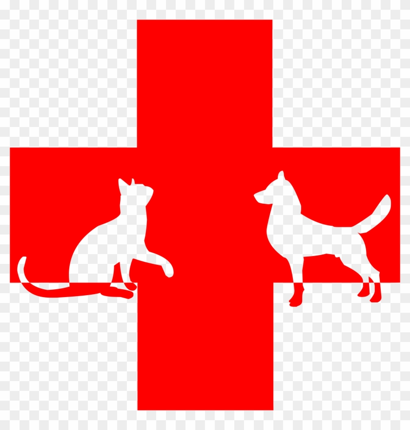 Veterinary First Aid Big Image Png Ⓒ - Dog And Cat Red Cross Clipart #3601653