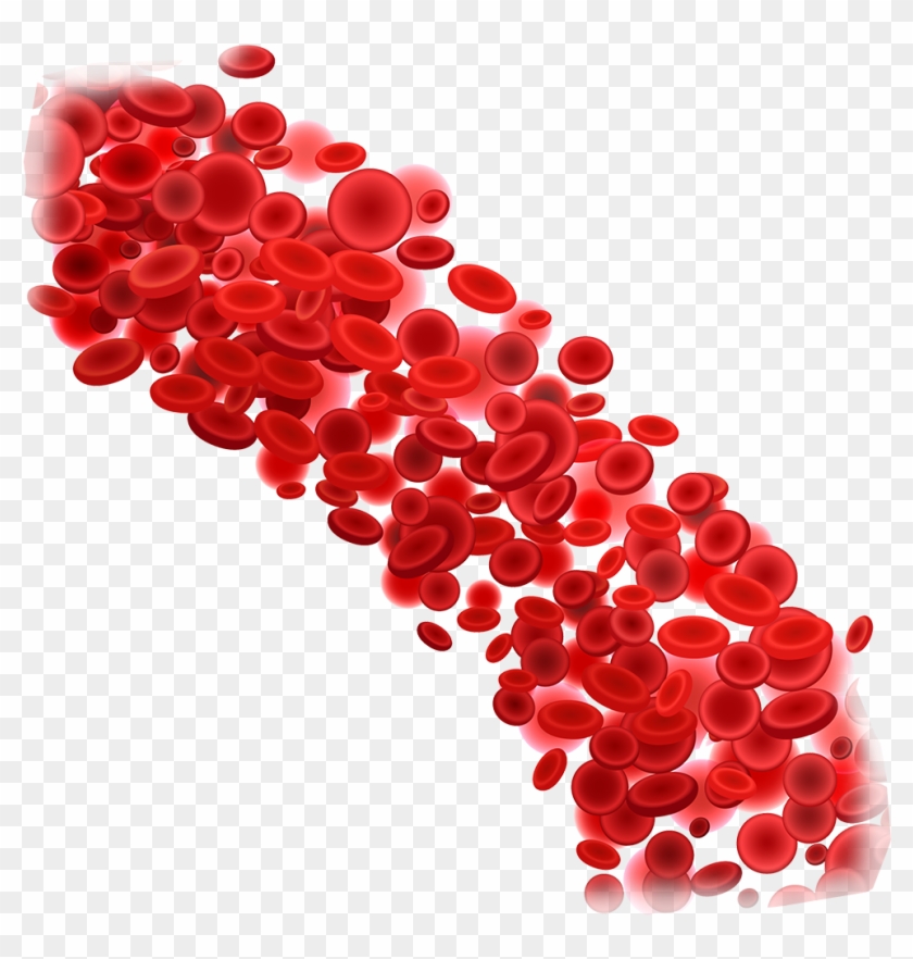 Blood Donation Download Png Image - Red Blood Cells Png Clipart #3601935