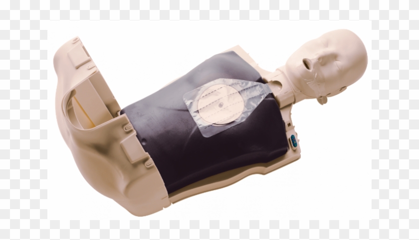 Prestan Professional Cpr Aed Training Manikin Family - Figurine Clipart