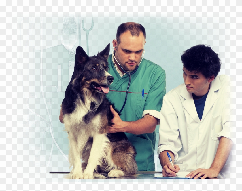 At Capna, We Are Committed To Supporting The Career Clipart