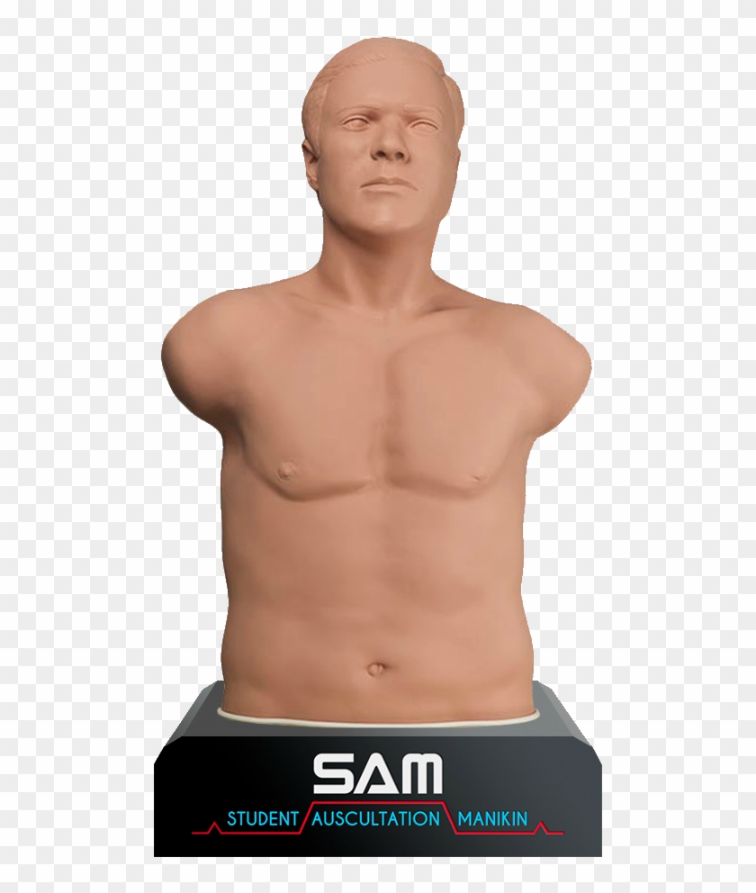 Auscultation Clipart