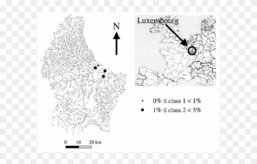 -distribution And Relative Abundance Of Achnanthidium - Drawing Clipart #3602194