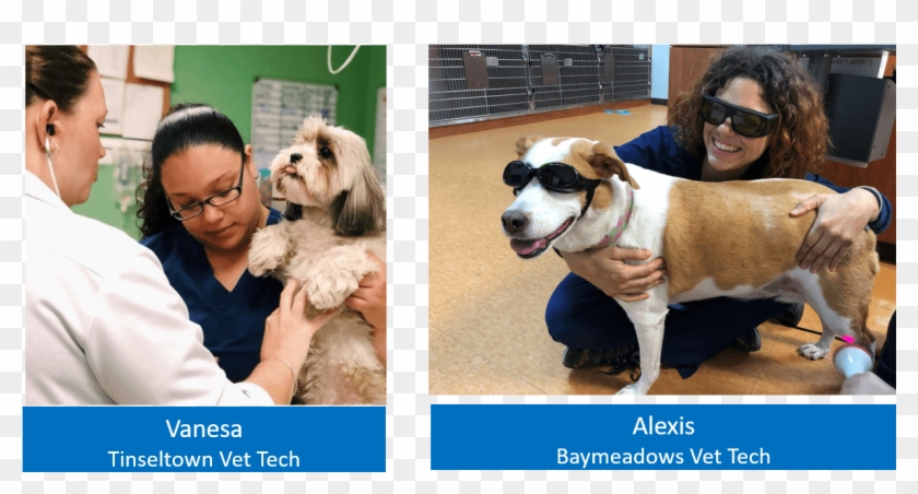 Vet Techs1 Forever Vets Animal Hospital Florida - Companion Dog Clipart