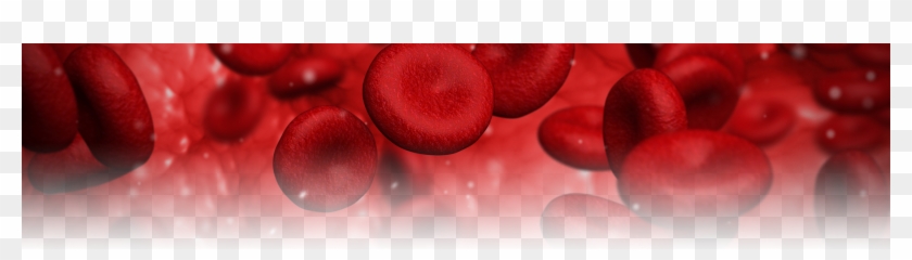 Red Blood Cell Omega 3 Fatty Acid Content Is A Significant - Macro Photography Clipart #3602768