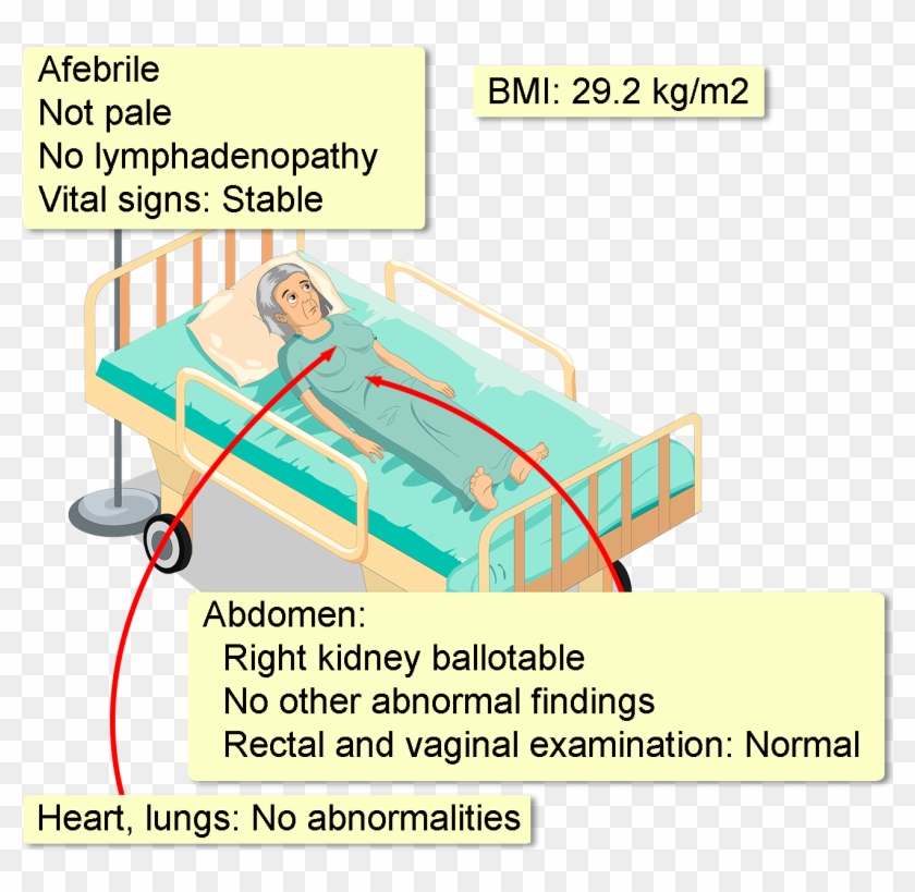 Urinalysis Demonstrates A Field Full Of Red Blood Cells, - Neuroleptic Malignant Syndrome Clipart