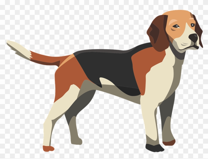 Dog, Hound, Mammal, Animal, Pet, Puppy, Cute, Canine - Cute Anatomy Of A Dog Clipart