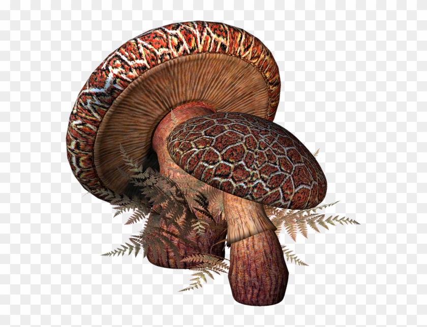 Toadstool Png - Fantasy Mushroom Clipart #3605245