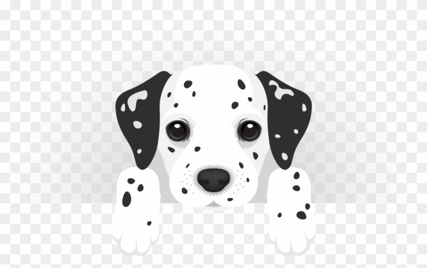 Dalmation - Dalmatian Dog Clipart