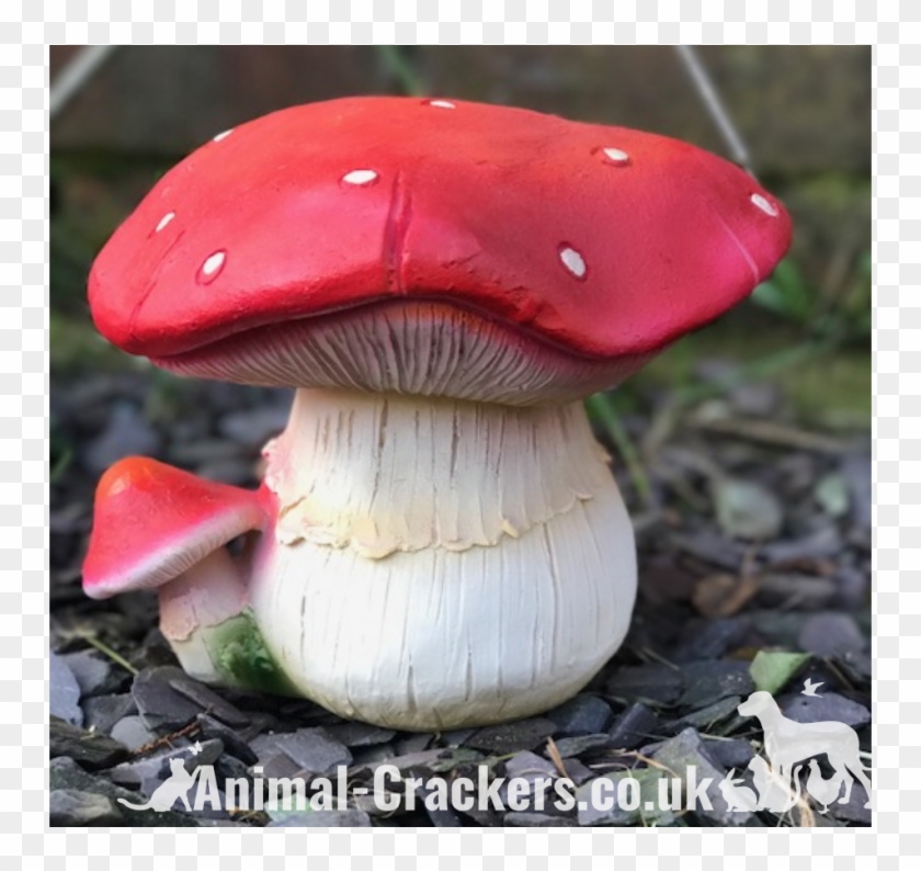 Large 19cm Red Bulbous Toadstool Mushroom Fungi Garden - Russula Integra Clipart