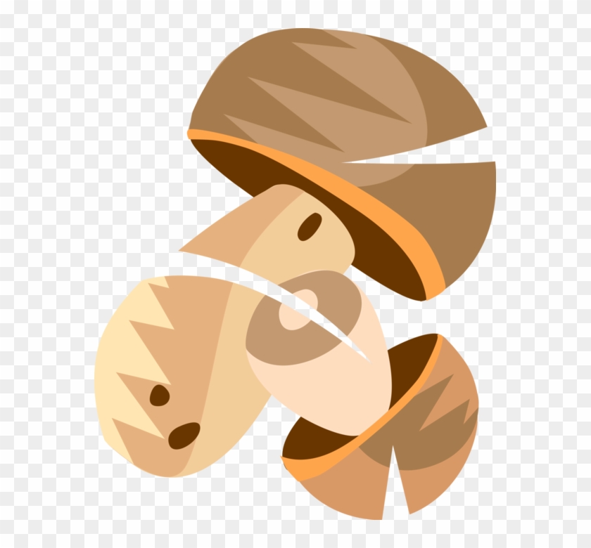 Vector Illustration Of Edible Mushroom Or Toadstool - Illustration Clipart