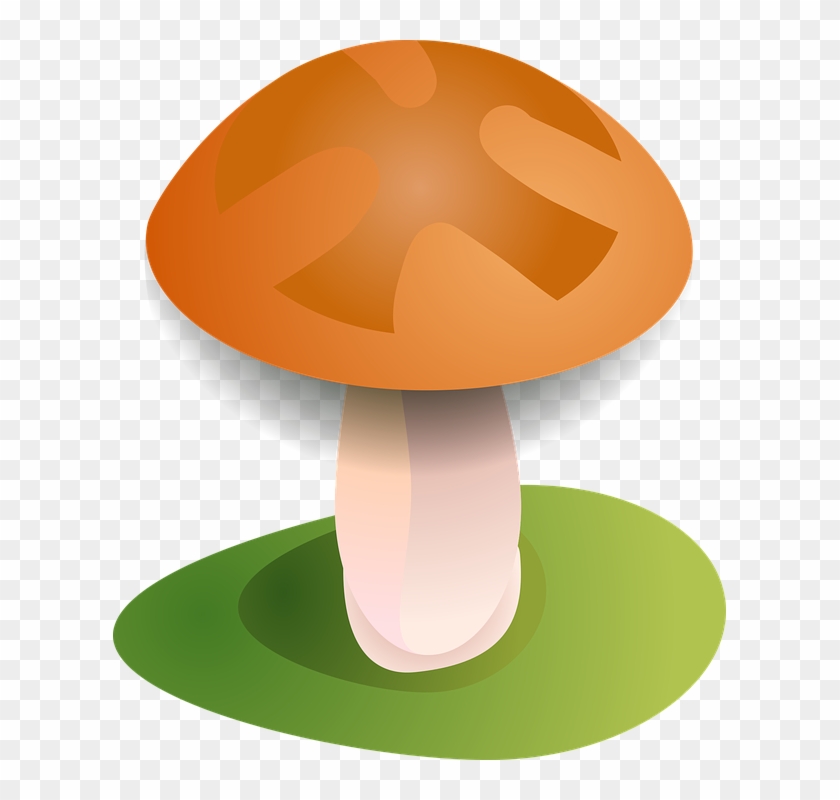Fall Forest Fungus Mushroom Season Toadstool - Table Clipart #3606570