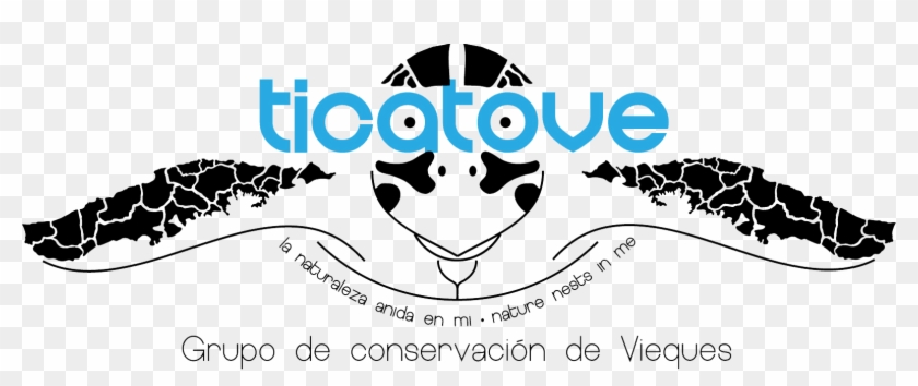 Ticatove Color Clipart #3607788