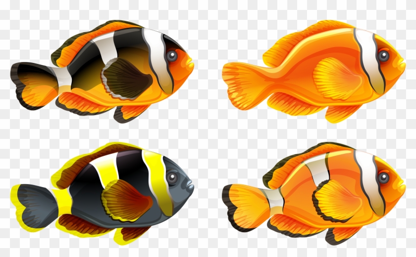 Picture Library Png Pinterest Fish Clip Art And - Things That Starts With Letter C Transparent Png #3607820