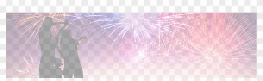 Cropped 4th Of July Family 2 - Fireworks Clipart #3608445