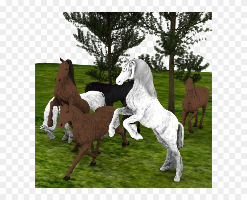 2nd Entry For The Newbie Contest I Need To Find The - Stallion Clipart #3608536