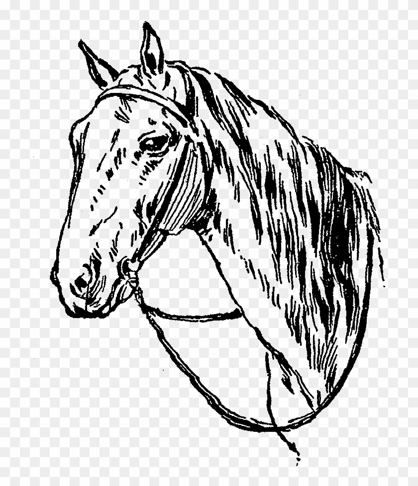 Digital Horse Clip Art - Mane - Png Download #3608673