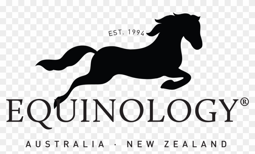 Stallion Clipart #3608758