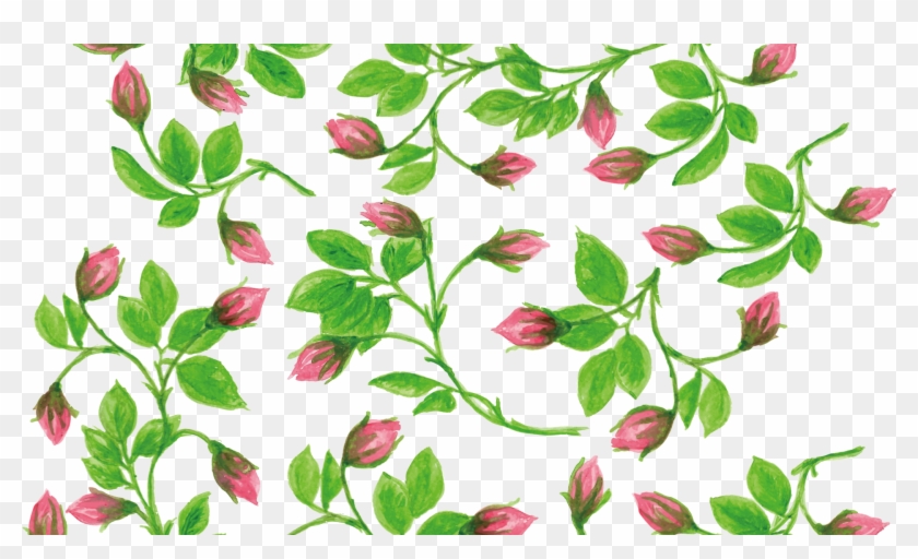 Flower Vines Painting Clipart
