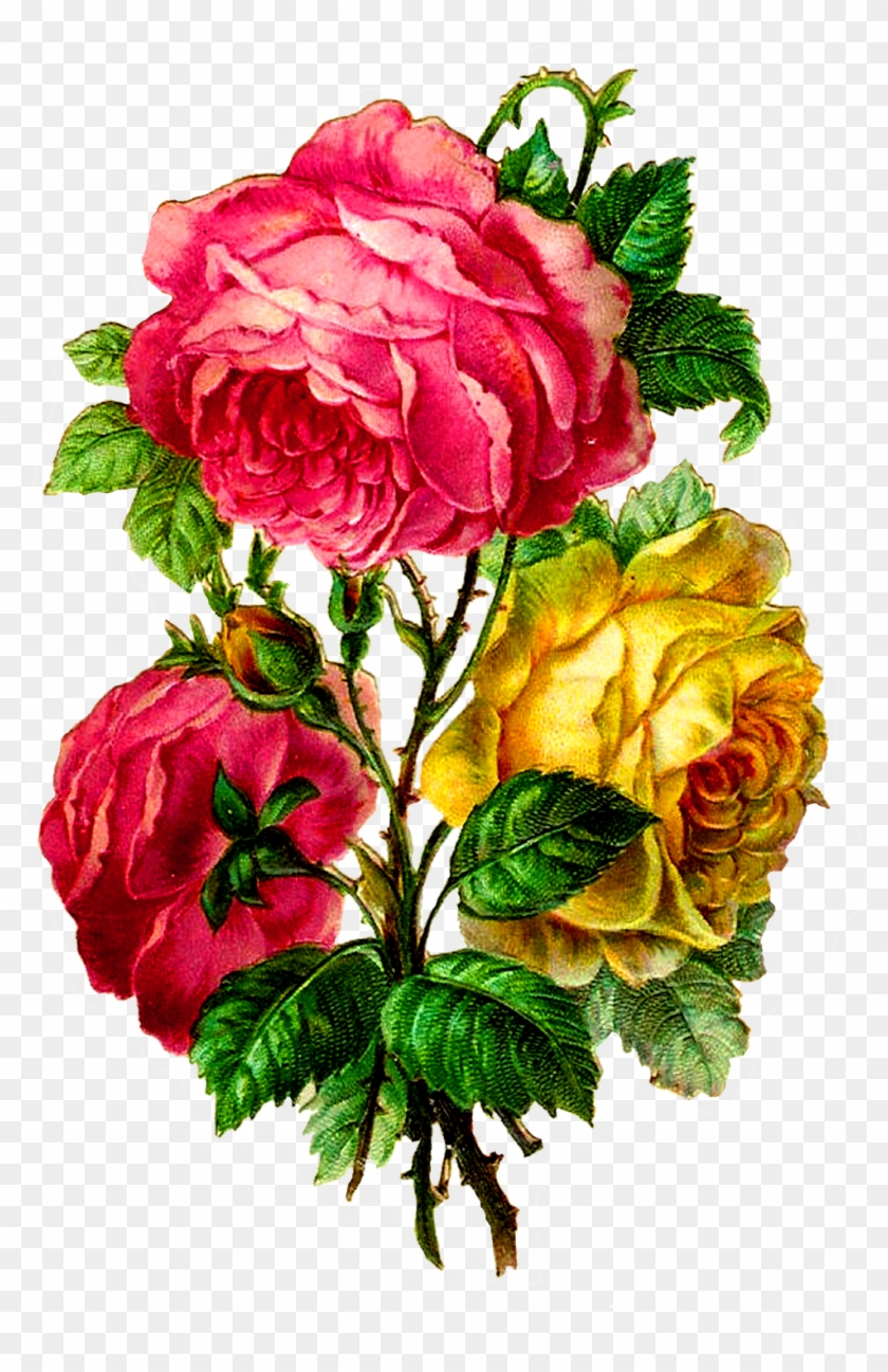 Centifolia Roses Paper Flower Bouquet Cut Flowers - Hybrid Tea Rose Clipart #3611248
