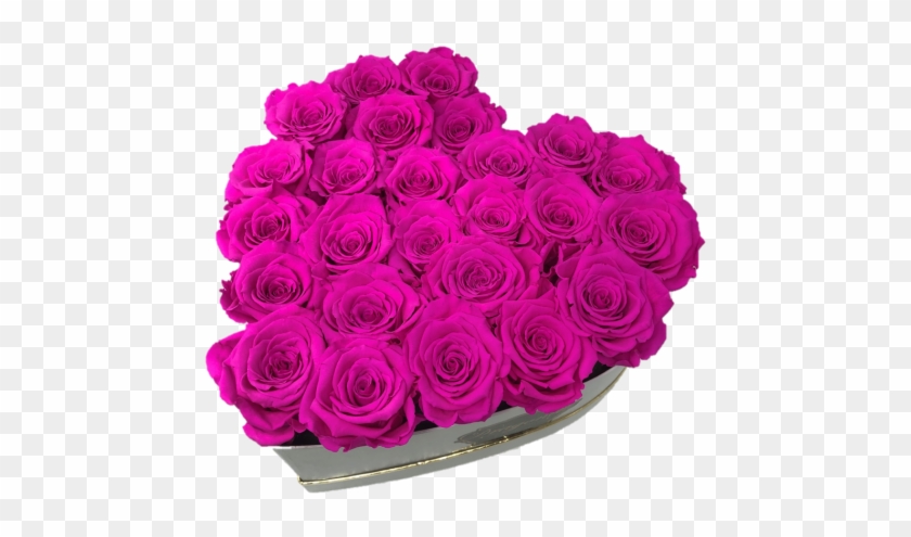 Garden Roses Clipart #3611283