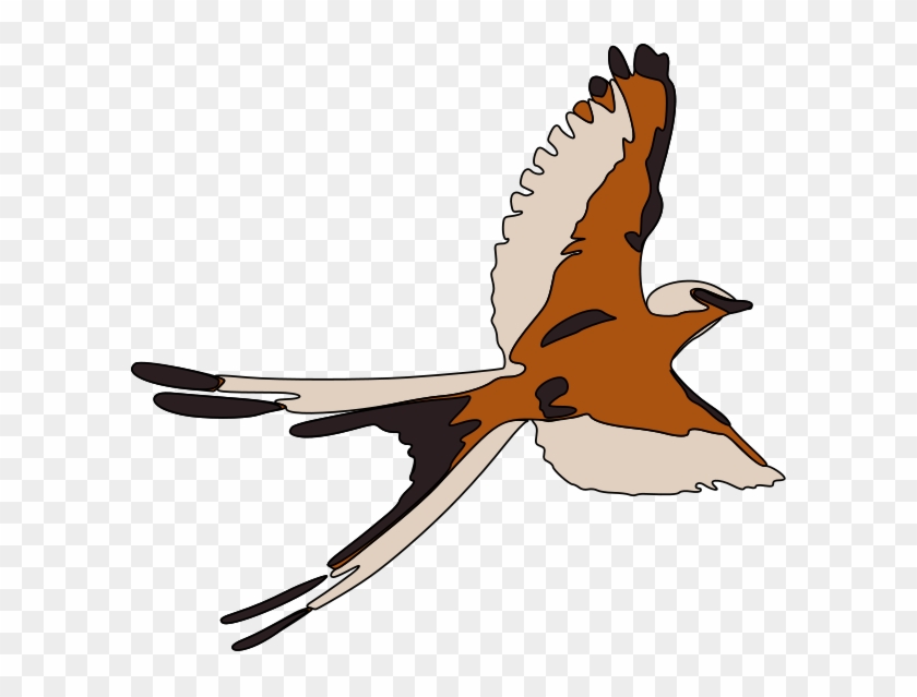 Bird Png Clip Arts - Kestrel Clipart Transparent Png #3611408