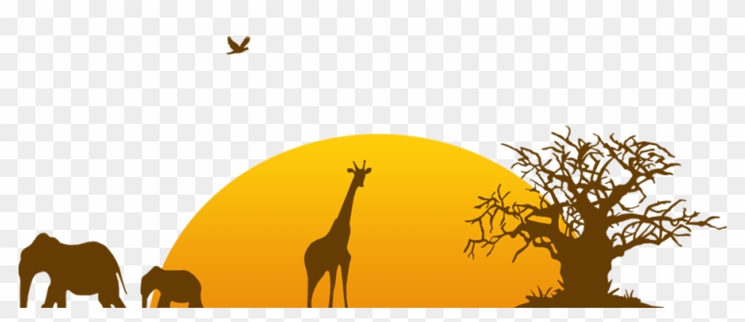 Pluspng Zoo Clipart Png - Project Transparent Png