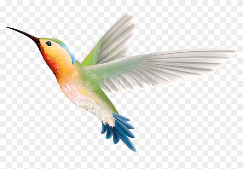 Free Png Download Birds Png Images Background Png Images - Birds Png Images Hd Clipart #3611568