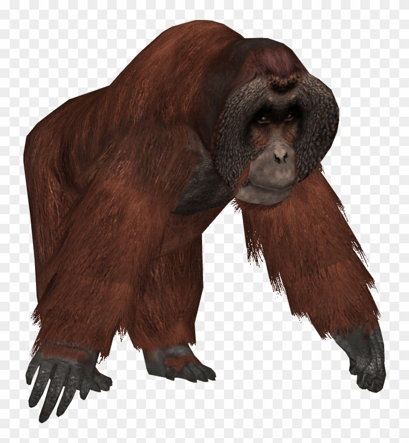 Ape Clipart Transparent Background - Zoo Tycoon Orangutan - Png Download #3611611