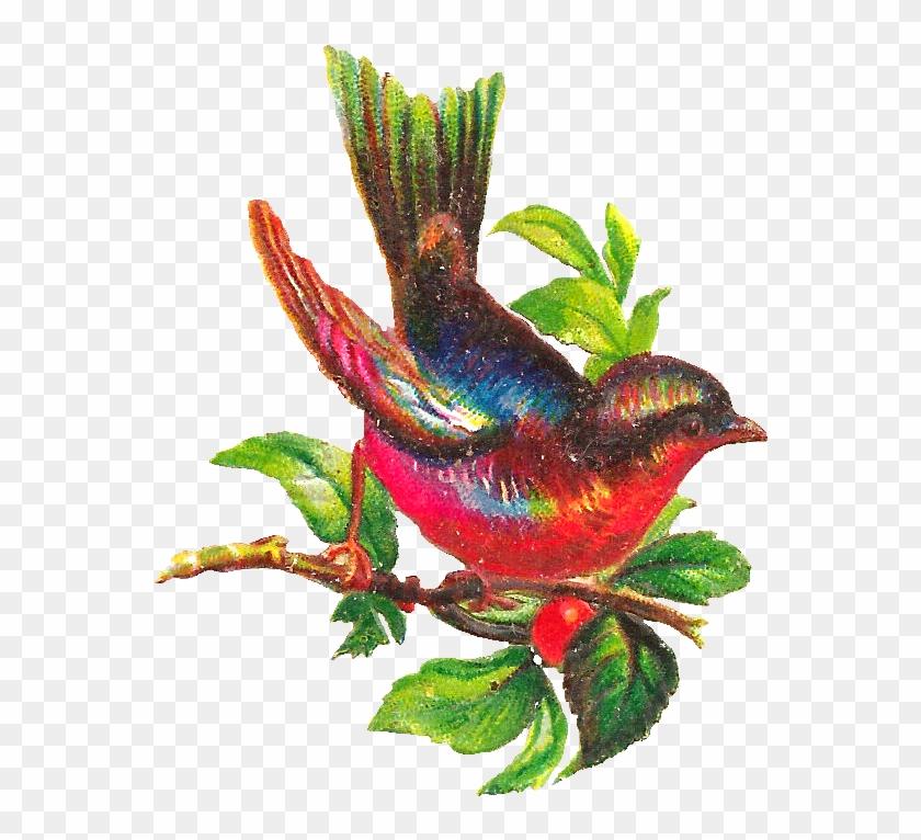 Free Bird Clip Art - Songbird - Png Download #3611732