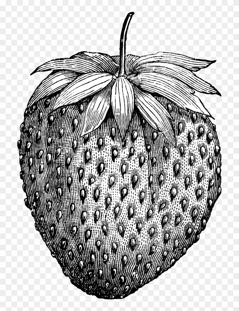 Boy On A - Black And White Strawberry Tattoo Clipart
