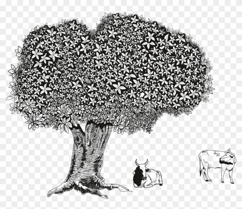 Tree Deciduous Tree Flowers - Yaprak Döken Ağaç Çizim Clipart #3612420