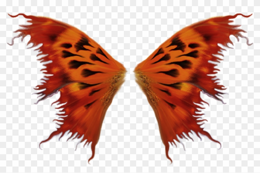 #wings #orange #butterfly #freetoedit - Винкс Кристаликс Clipart