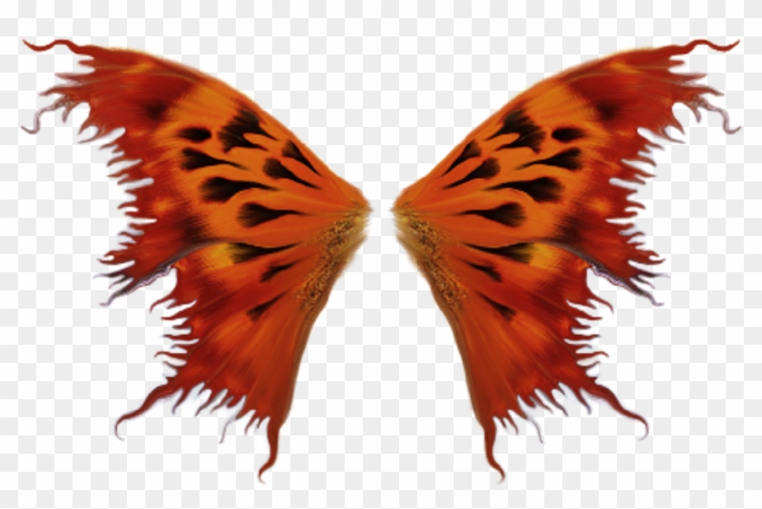 #wings #orange #butterfly #freetoedit - Винкс Кристаликс Clipart #3613096