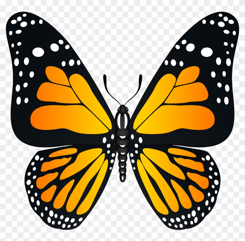 Orange Butterfly Transparent Png Image Clipart #3613451