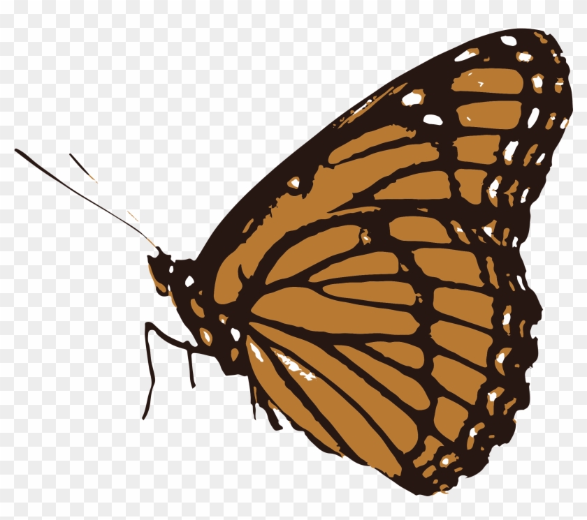 Life Inside Texas' Border Security Zone - Transparent Butterfly Clipart