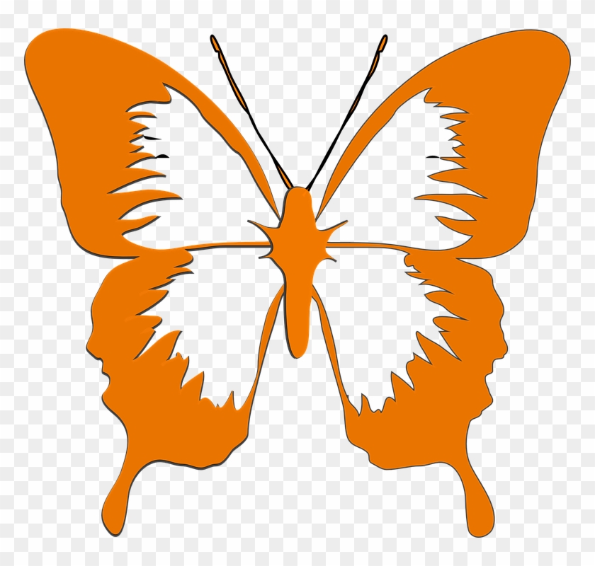 Butterfly Insect Animal Orange Blue - Cartoons Black And White Clipart #3613774