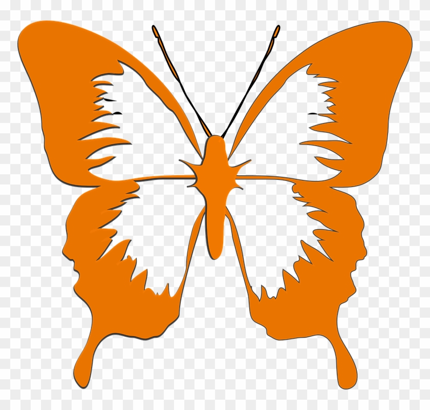 Butterfly Insect Animal Orange Blue - Cartoons Black And White Clipart