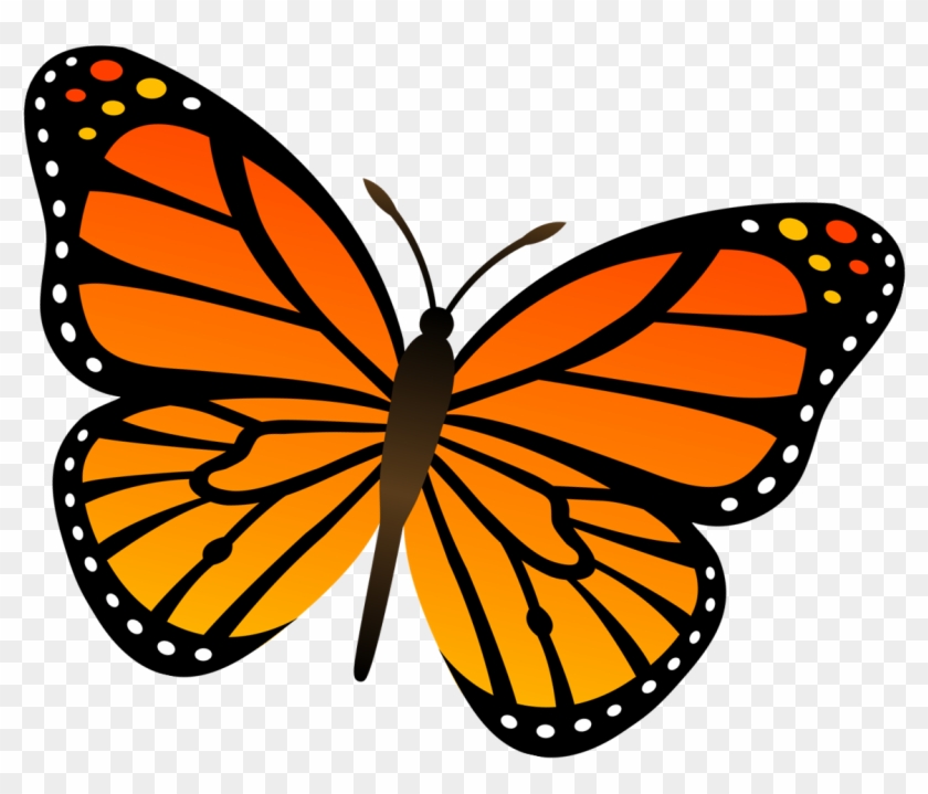 Goals For The Butterfly Room Butterfly - Colouring Pages Butterfly Clipart