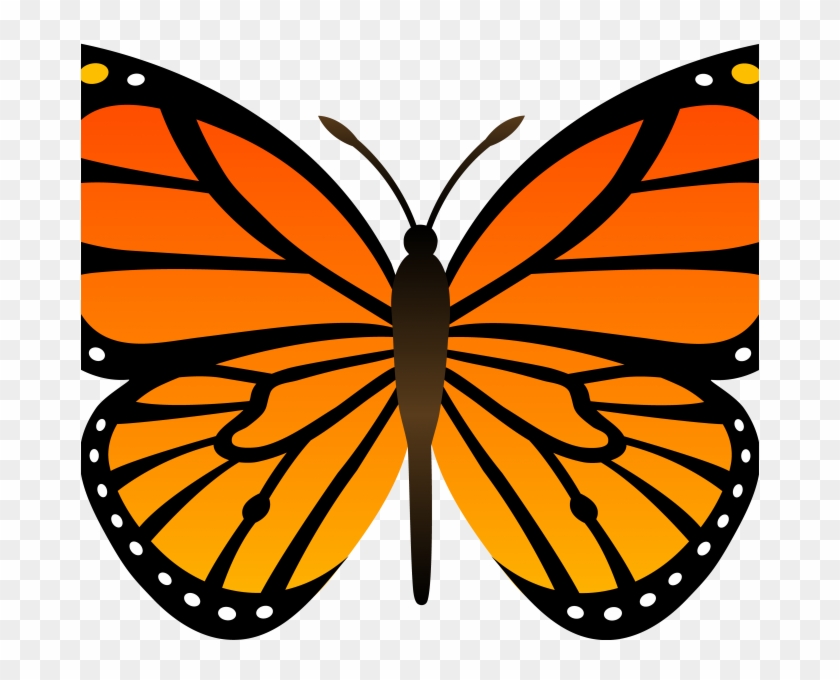 Cartoon Butterfly Image - Butterfly Png Cartoon Clipart #3613880