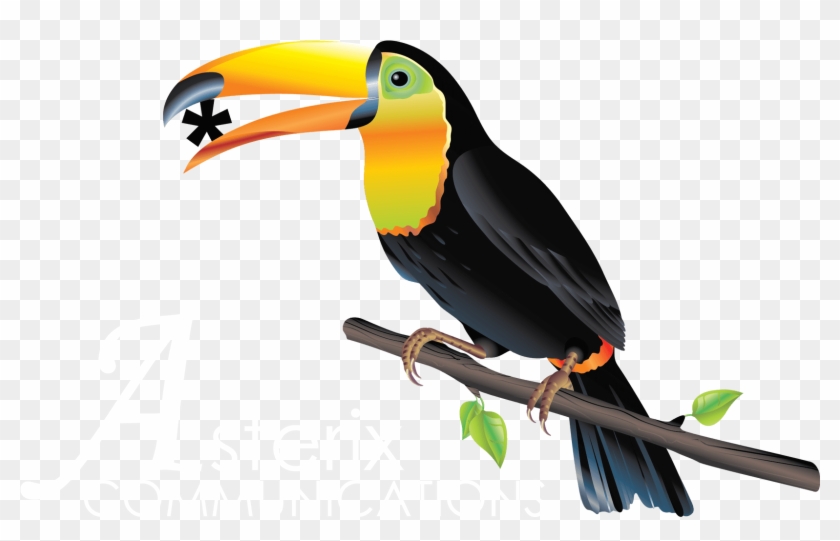 Asterix Logo Jungle - Desenho De Tucano Colorido Clipart