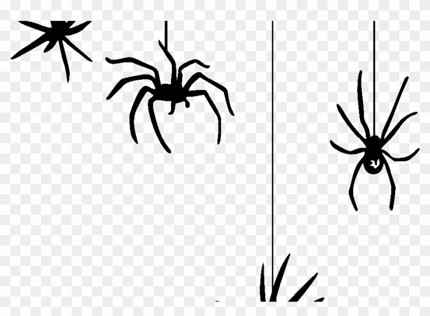 Hanging Spider Png Clipart