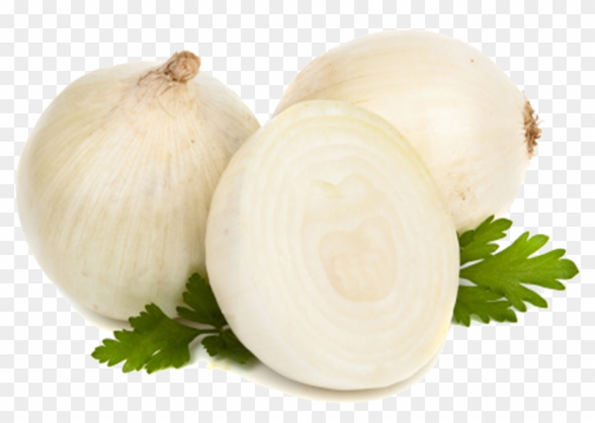 Onion , Png Download - Onion Clipart #3614170