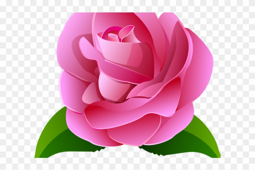 Rose Clipart Transparent Background - Rosas Cor De Rosa Png #3614551
