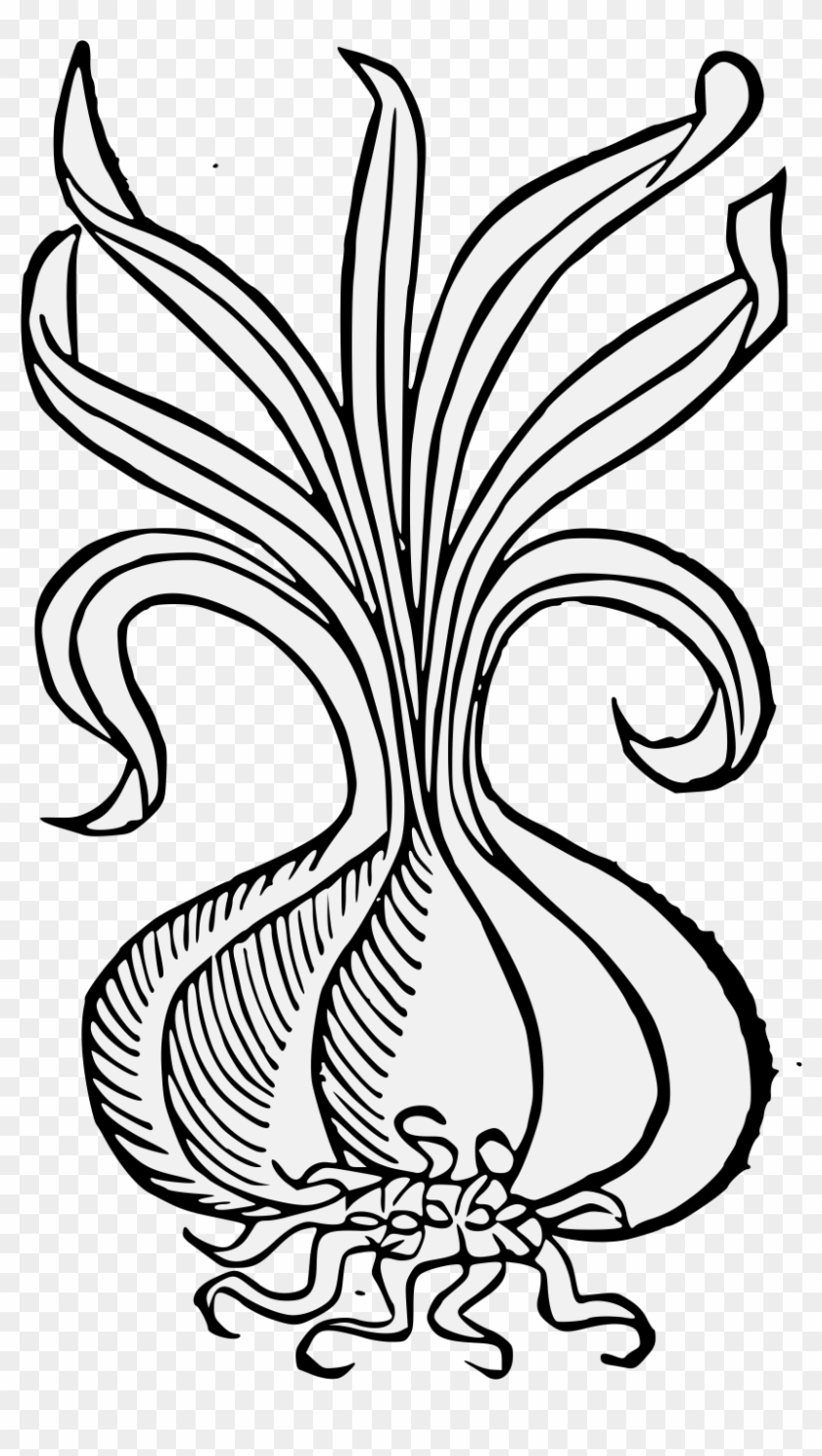 Details, Png - Illustration Clipart #3614573