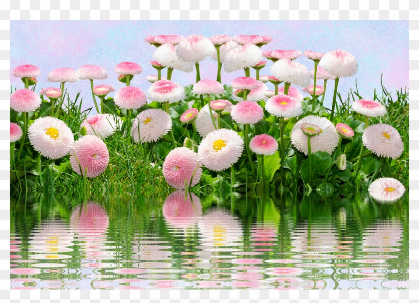 Flowers Pink Light Blue Pink Flower Nature - Flower Clipart #3614651