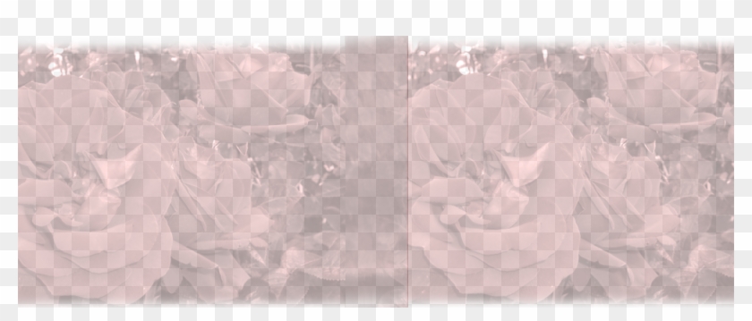 Garden Roses Clipart