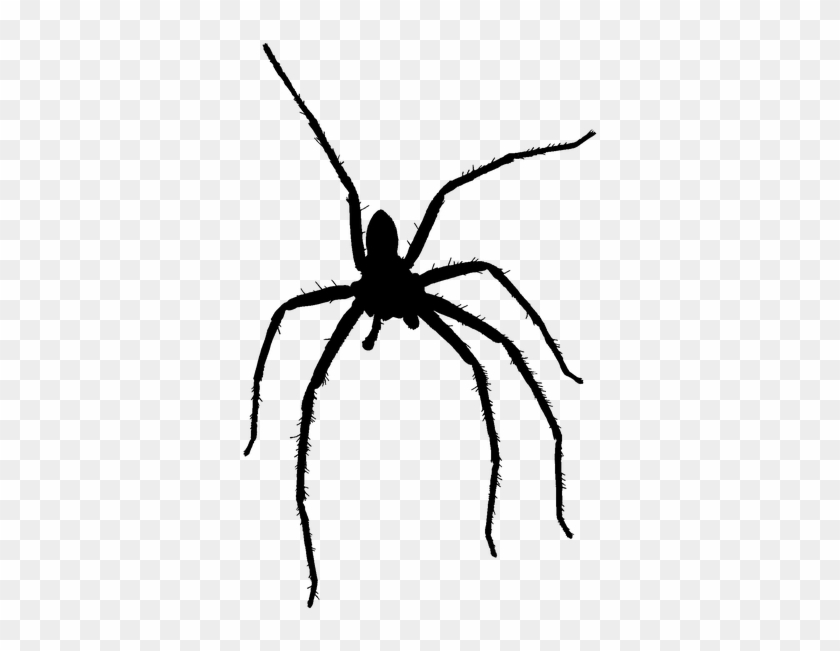 Spider Silhouette Insects Halloween - Wolf Spider Clipart