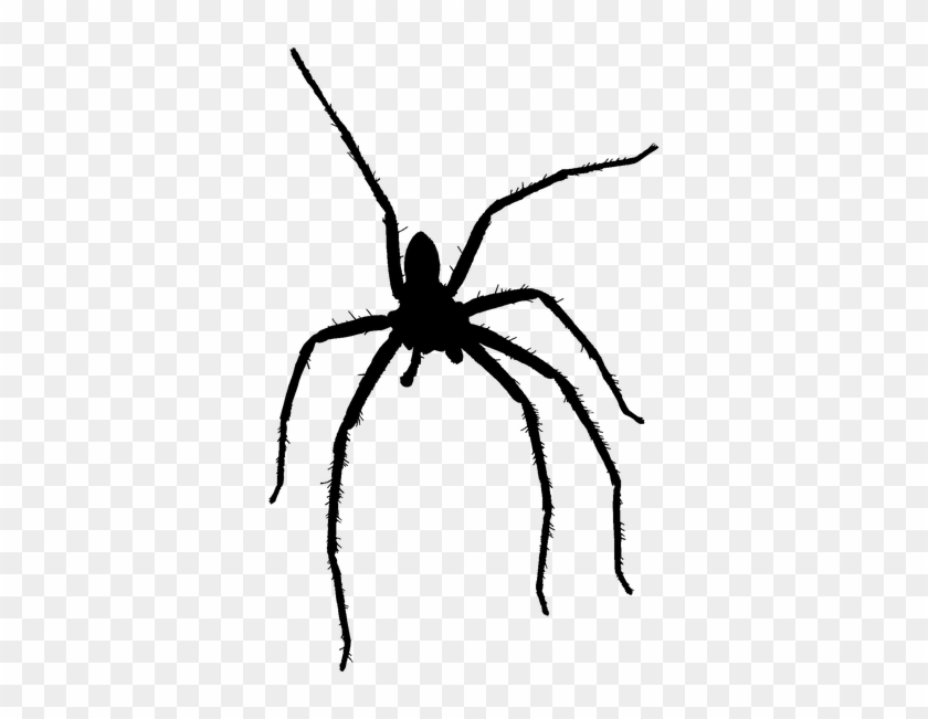 Spider Silhouette Insects Halloween - Wolf Spider Clipart #3614714